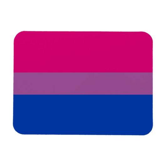 Biseksuele Pride-vlag Magneet (Horizontaal)