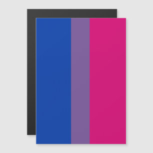 Biseksuele Pride Vlag Magnetische Uitnodiging