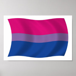 Biseksuele Pride Vlag Poster Print