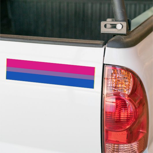 BISEKSUELE PRIDE VLAGGENBAR BUMPERSTICKER (Op Truck)