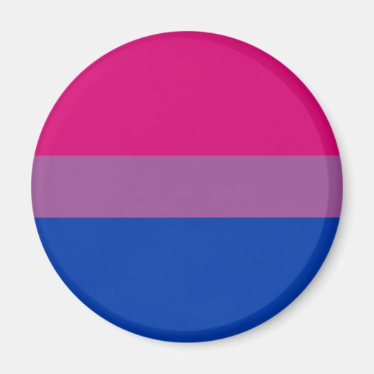Biseksuele vlag LGBT magneet (Voorkant)
