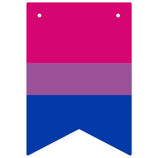 Bisexual Flag & Pride community party/gender flag Vlaggetjes (Tweede vlag)
