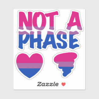 Bisexual Not Phase Heart Custom-Cut Vinyl Sticker