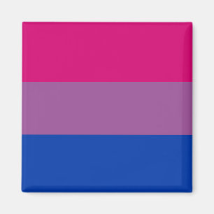 Bisexual Pride Flag Magneet