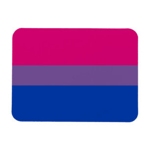 Bisexual Pride Flag Magneet