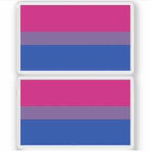 Bisexual Pride Flag Sticker