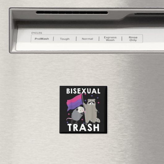 Bisexual Trash Gay Pride Rainbow LGBT Raccoon Magneet (Insitu (Vaatwasser))