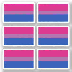 Bisexualiteit Pride vlag Sticker