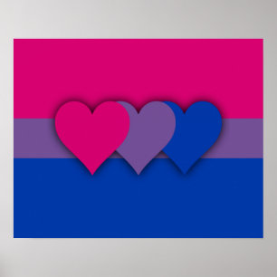 Bisexualiteitvlag Poster