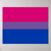 Bisexualiteitvlag Poster