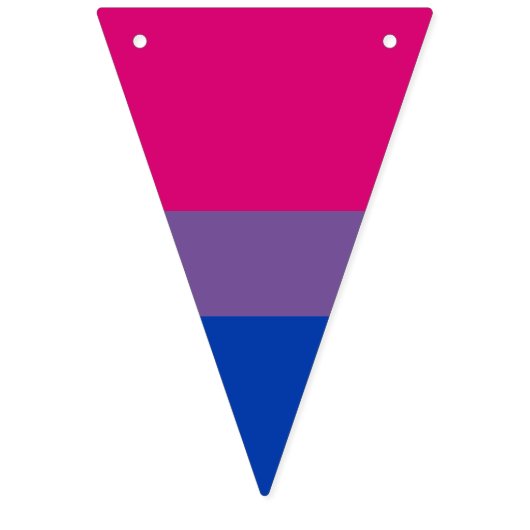 Bisexuality pride flag banner Bunting Flags (Eerste vlag)