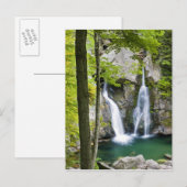 Bish Bash Falls in Bish Bash Falls State Park Briefkaart (Voorkant / Achterkant)