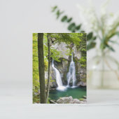Bish Bash Falls in Bish Bash Falls State Park Briefkaart (Staand voorkant)