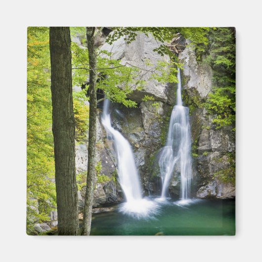 Bish Bash Falls in Bish Bash Falls State Park Magneet (Voorkant)