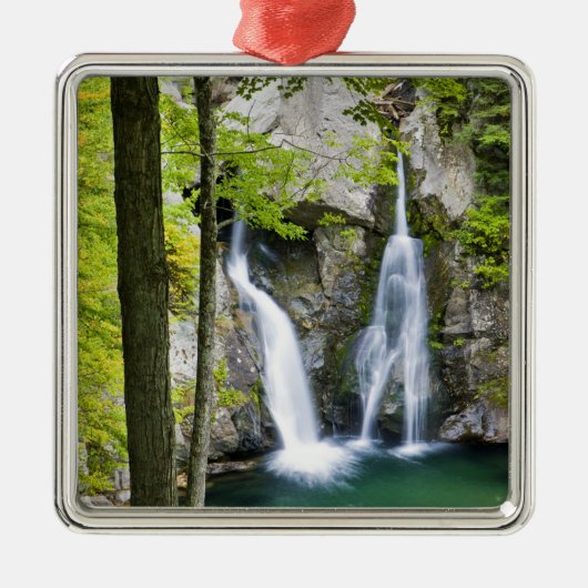 Bish Bash Falls in Bish Bash Falls State Park Metalen Ornament (Voorkant)