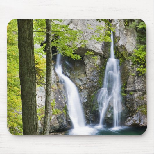 Bish Bash Falls in Bish Bash Falls State Park Muismat (Voorkant)