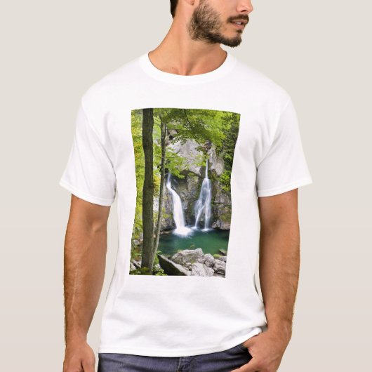 Bish Bash Falls in Bish Bash Falls State Park T-shirt (Voorkant)