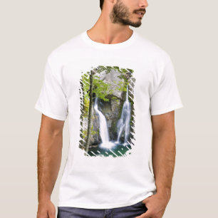 Bish Bash Falls in Bish Bash Falls State Park T-shirt