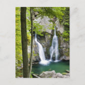 Bish Bash Herfsten in het Bish Bash Herfsten State Briefkaart (Voorkant)