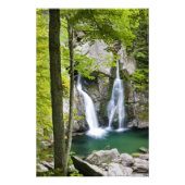 Bish Bash Herfsten in het Bish Bash Herfsten State Foto Afdruk (Voorkant)