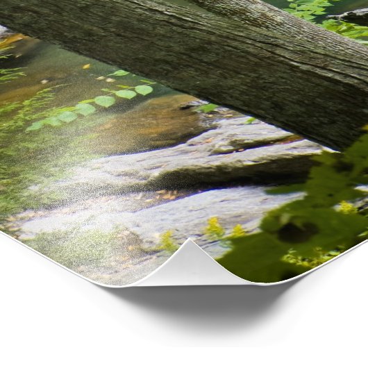 Bish Bash Herfsten in het Bish Bash Herfsten State Foto Afdruk (Hoek)