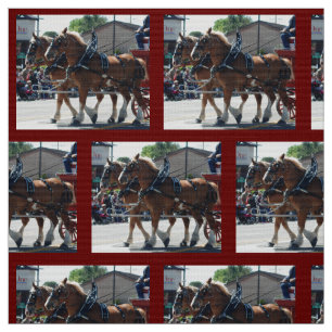 Bishop Mule Days 2018 Stof