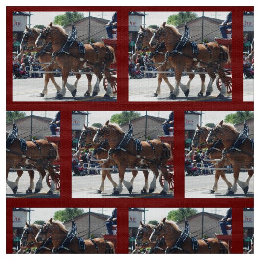 Bishop Mule Days 2018 Stof (Swatch)