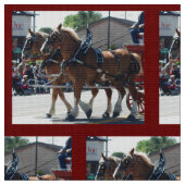 Bishop Mule Days 2018 Stof (Close Up)