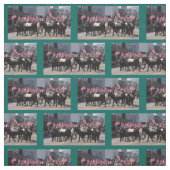 Bishop Mule Days 2018 Stof (Swatch)