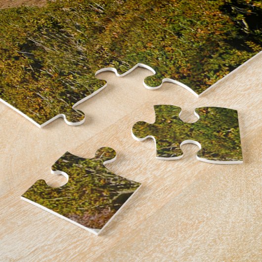 Bishopville South Carolina. Legpuzzel (Zijkant)