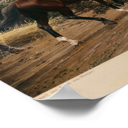 Bismarck en Napoleon Poster (Hoek)