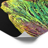 Bismarck Statue, Berlijn, Griekse godatlas, Zwarte Poster (Hoek)