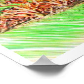 Bismarckia nobilis palmboom, kleurenpotloodtekenin poster (Hoek)