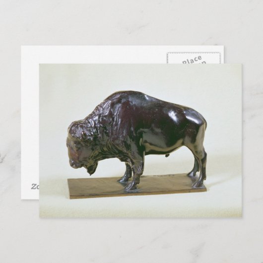 Bison, 1907 briefkaart (Voorkant / Achterkant)