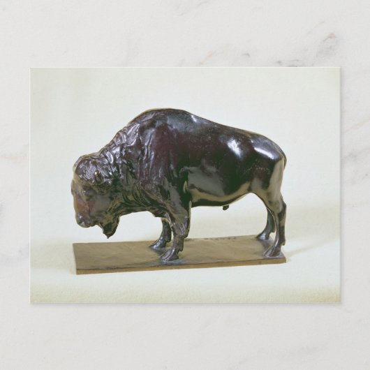 Bison, 1907 briefkaart (Voorkant)