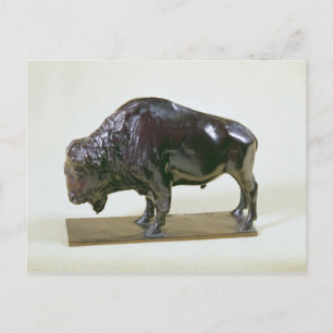 Bison, 1907 briefkaart