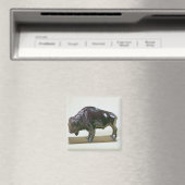 Bison, 1907 magneet (Insitu (Vaatwasser))