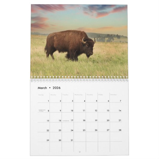 Bison 2026 12 maanden Kalender (Mar 2026)