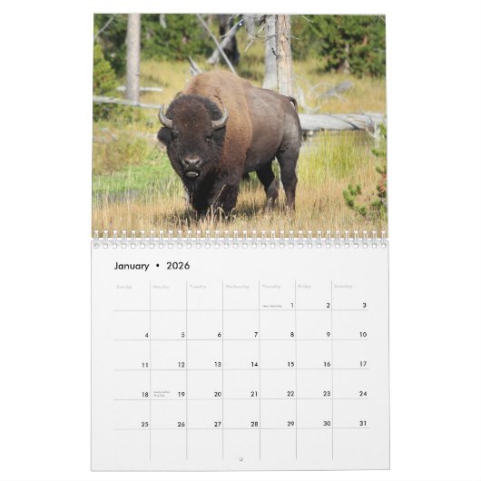 Bison 2026 12 maanden Kalender (Jan 2026)