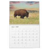 Bison 2026 12 maanden Kalender (Mar 2027)