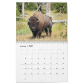 Bison 2026 12 maanden Kalender (Jan 2027)