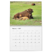 Bison 2026 12 maanden Kalender (Feb 2027)