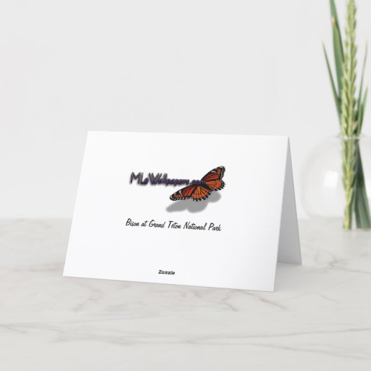 Bison at Grand Teton National Park Photography Bedankkaart (Achterkant)