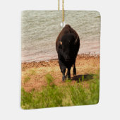 Bison at the Water Keramisch Ornament (Rechts)