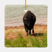 Bison at the Water Keramisch Ornament (Achterkant)