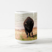 Bison At The Water Koffiemok (Center)