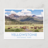 Bison at Yellowstone National Park Summer Mountain Briefkaart (Voorkant)