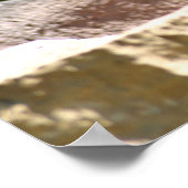 Bison at zoo poster (Hoek)