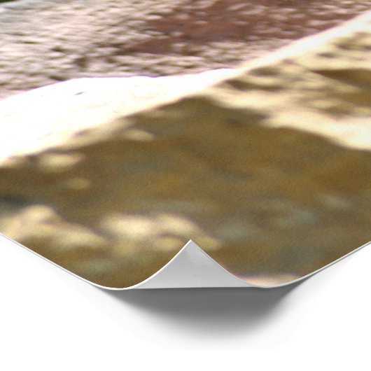 Bison at zoo poster (Hoek)