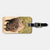 Bison Bagagelabel (Voorkant horizontaal)